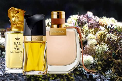 floral perfume fragrantica|chypre floral fragrance perfume.